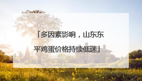 多因素影响，山东东平鸡蛋价格持续低迷