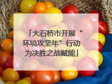 大石桥市开展“环境攻坚年”行动为决胜之战赋能