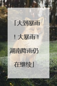 大到暴雨！大暴雨！湖南降雨仍在继续