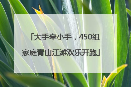 大手牵小手，450组家庭青山江滩欢乐开跑