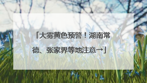 大雾黄色预警！湖南常德、张家界等地注意→