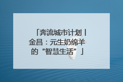 奔流城市计划丨金昌：元生奶绵羊的“智慧生活”