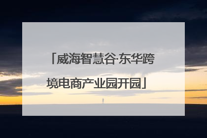 威海智慧谷·东华跨境电商产业园开园