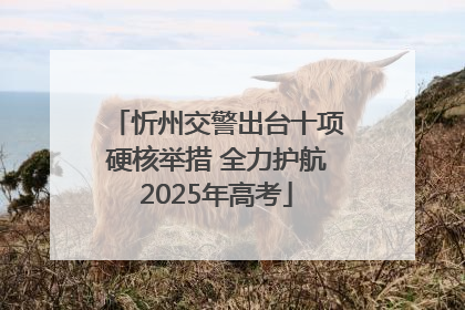 忻州交警出台十项硬核举措 全力护航2025年高考