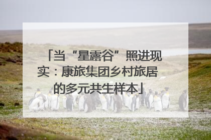 当“星露谷”照进现实：康旅集团乡村旅居的多元共生样本