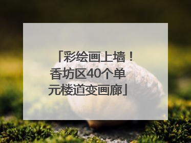 彩绘画上墙！香坊区40个单元楼道变画廊