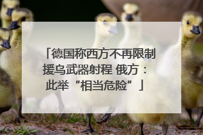 德国称西方不再限制援乌武器射程 俄方：此举“相当危险”