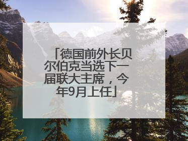 德国前外长贝尔伯克当选下一届联大主席，今年9月上任