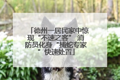 德州一居民家中惊现“不速之客” 消防员化身“捕蛇专家”快速处置