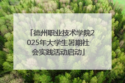 德州职业技术学院2025年大学生暑期社会实践活动启动