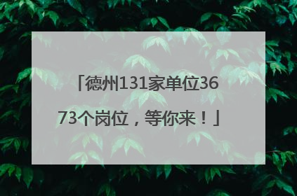 德州131家单位3673个岗位，等你来！