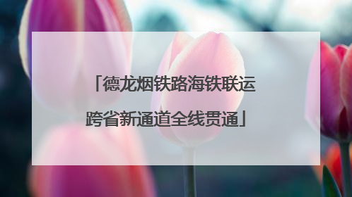 德龙烟铁路海铁联运跨省新通道全线贯通