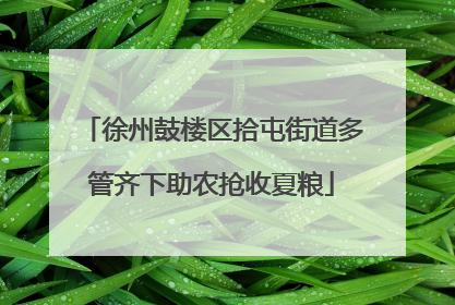 徐州鼓楼区拾屯街道多管齐下助农抢收夏粮