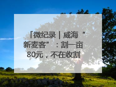 微纪录｜威海“新麦客”：割一亩80元，不在收割就是在收割路上