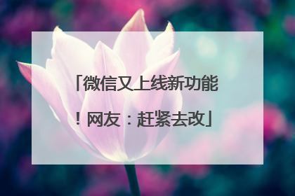 微信又上线新功能！网友：赶紧去改