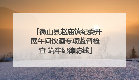 微山县赵庙镇纪委开展午间饮酒专项监督检查 筑牢纪律防线