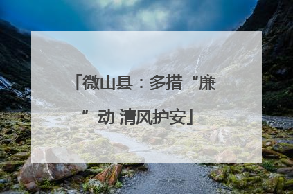 微山县：多措“廉”动 清风护安