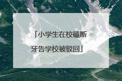 小学生在校磕断牙告学校被驳回