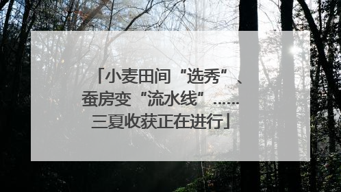 小麦田间“选秀”、蚕房变“流水线”……三夏收获正在进行