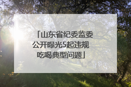 山东省纪委监委公开曝光5起违规吃喝典型问题