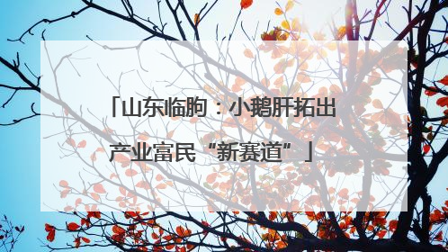 山东临朐：小鹅肝拓出产业富民“新赛道”