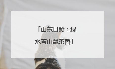 山东日照：绿水青山飘茶香