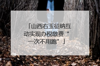 山西右玉征纳互动实现办税缴费“一次不用跑”