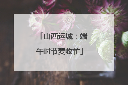 山西运城：端午时节麦收忙