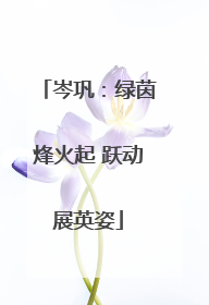 岑巩：绿茵烽火起 跃动展英姿