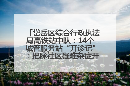 岱岳区综合行政执法局高铁站中队：14个城管服务站“开诊记”：把脉社区疑难杂症开出治理良方