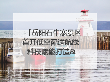 岳阳石牛寨景区首开低空配送航线 科技赋能打造"空中便利店"