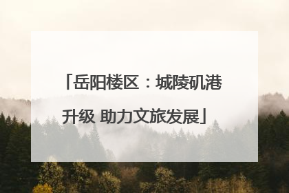 岳阳楼区：城陵矶港升级 助力文旅发展