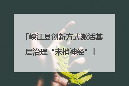 峡江县创新方式激活基层治理“末梢神经”
