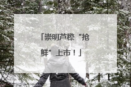 崇明芦穄“抢鲜”上市！