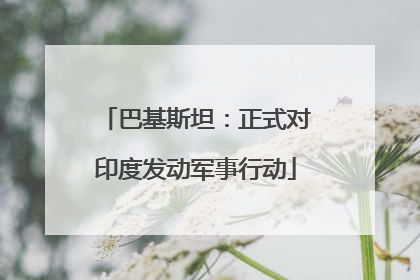 巴基斯坦：正式对印度发动军事行动