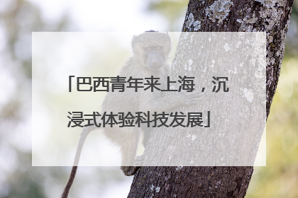 巴西青年来上海，沉浸式体验科技发展
