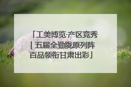 工美博览·产区竞秀｜五届全勤陇原列阵 百品领衔甘肃出彩