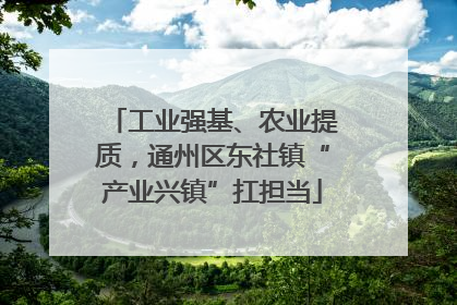 工业强基、农业提质，通州区东社镇“产业兴镇”扛担当
