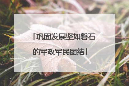 巩固发展坚如磐石的军政军民团结