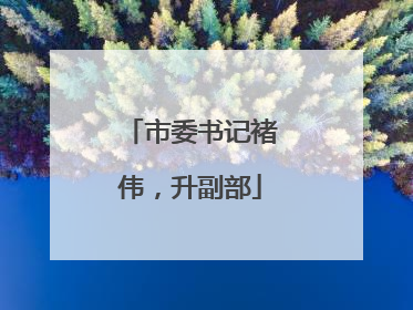 市委书记褚伟，升副部