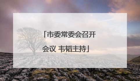 市委常委会召开会议 韦韬主持