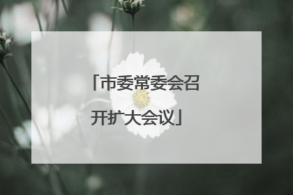 市委常委会召开扩大会议