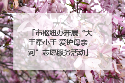 市枢纽办开展“大手牵小手 爱护母亲河”志愿服务活动