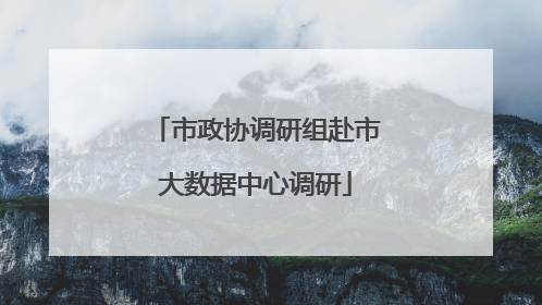 市政协调研组赴市大数据中心调研
