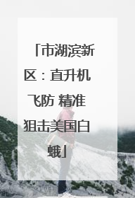 市湖滨新区：直升机飞防 精准狙击美国白蛾