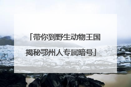 带你到野生动物王国揭秘鄂州人专属暗号