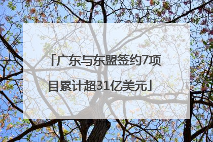 广东与东盟签约7项目累计超31亿美元
