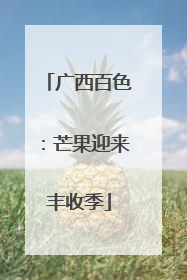 广西百色：芒果迎来丰收季
