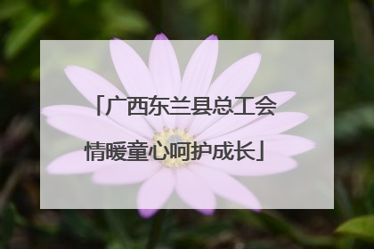 广西东兰县总工会情暖童心呵护成长