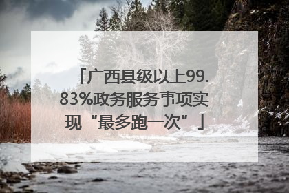 广西县级以上99.83%政务服务事项实现“最多跑一次”